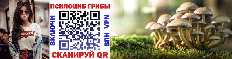 закладка  Абинск  Галлюциногенные грибы ЛСД 